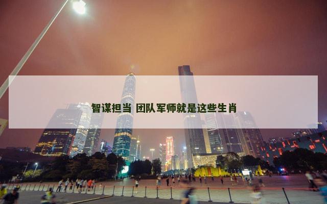 智谋担当 团队军师就是这些生肖