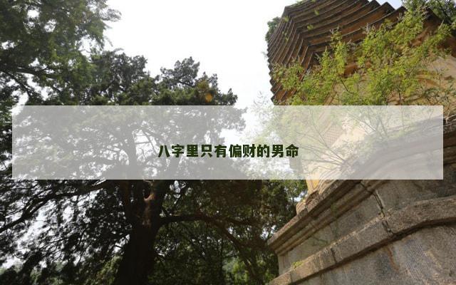 八字里只有偏财的男命