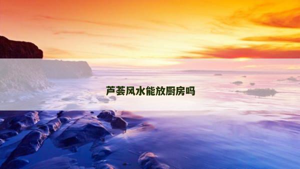 芦荟风水能放厨房吗