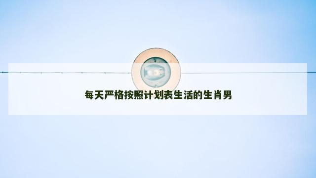 每天严格按照计划表生活的生肖男