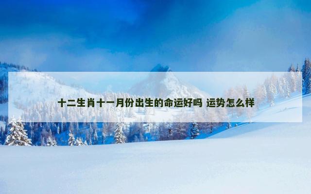 十二生肖十一月份出生的命运好吗 运势怎么样
