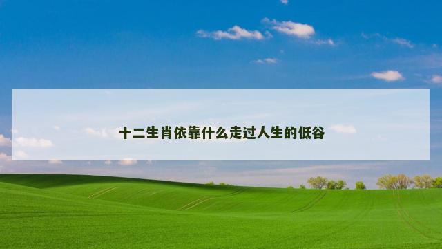 十二生肖依靠什么走过人生的低谷