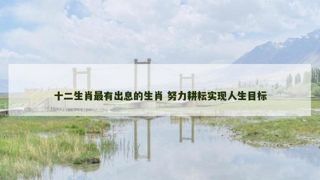 十二生肖最有出息的生肖 努力耕耘实现人生目标