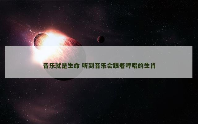 音乐就是生命 听到音乐会跟着哼唱的生肖