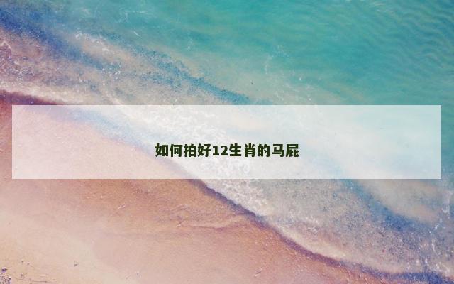 如何拍好12生肖的马屁