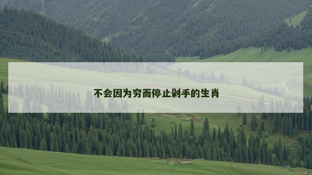 不会因为穷而停止剁手的生肖