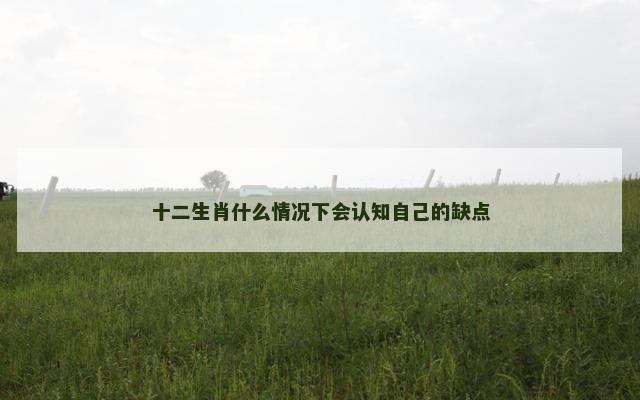 十二生肖什么情况下会认知自己的缺点