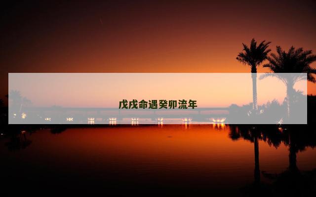 戊戌命遇癸卯流年
