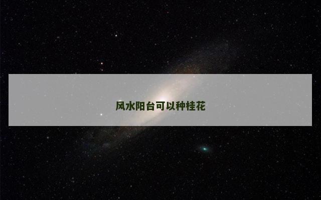 风水阳台可以种桂花