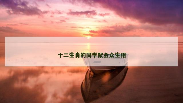 十二生肖的同学聚会众生相