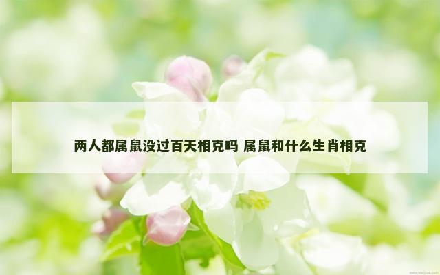 两人都属鼠没过百天相克吗 属鼠和什么生肖相克