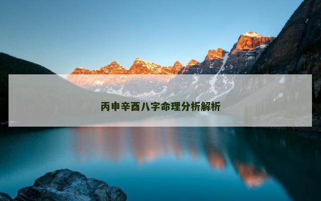 丙申辛酉八字命理分析解析