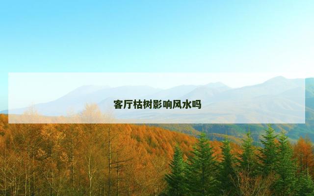 客厅枯树影响风水吗