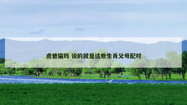 虎爸猫妈 说的就是这些生肖父母配对
