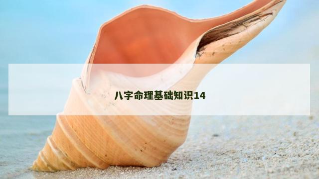 八字命理基础知识14