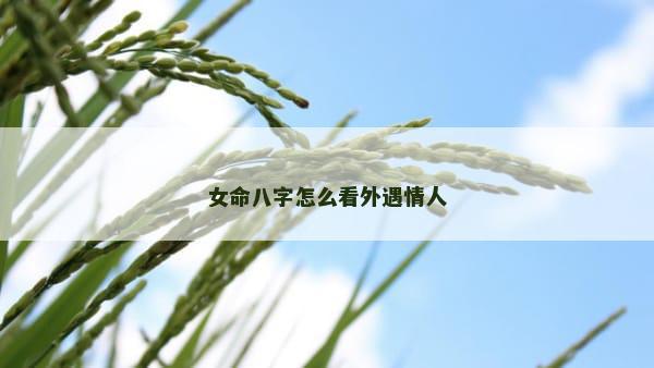 女命八字怎么看外遇情人