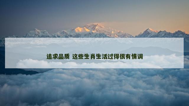 追求品质 这些生肖生活过得很有情调
