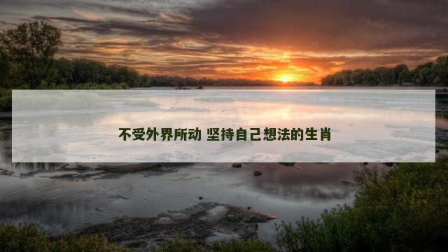 不受外界所动 坚持自己想法的生肖