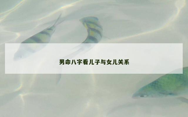 男命八字看儿子与女儿关系