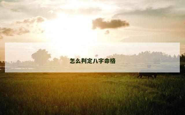 怎么判定八字命格