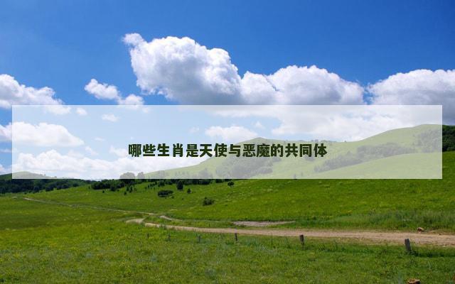 哪些生肖是天使与恶魔的共同体