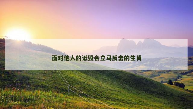 面对他人的诋毁会立马反击的生肖