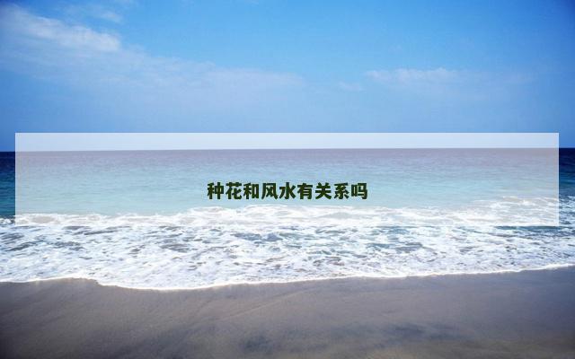 种花和风水有关系吗
