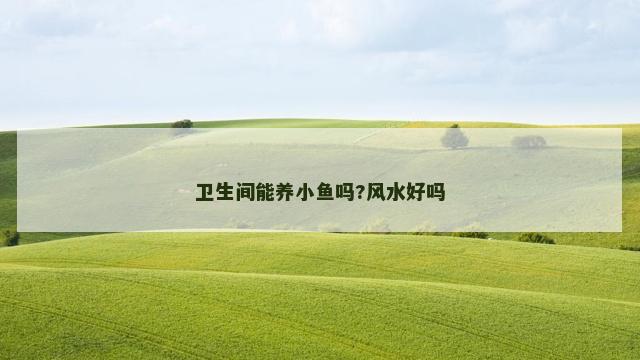 卫生间能养小鱼吗?风水好吗