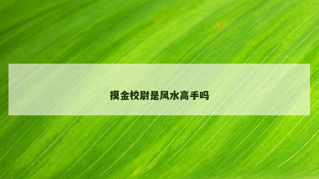 摸金校尉是风水高手吗