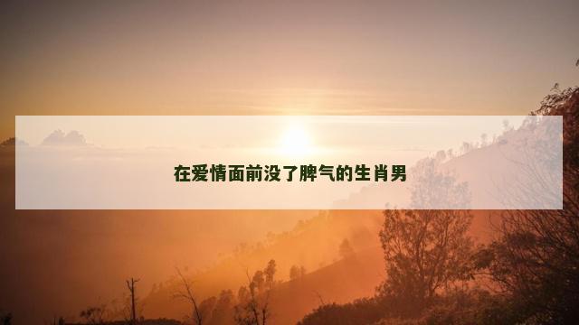 在爱情面前没了脾气的生肖男