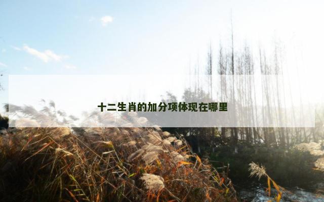 十二生肖的加分项体现在哪里