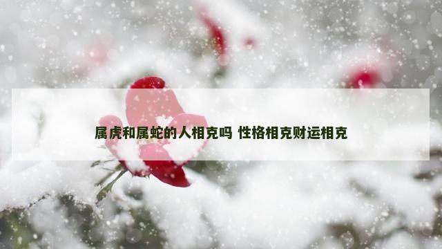 属虎和属蛇的人相克吗 性格相克财运相克