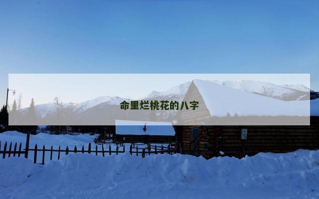 命里烂桃花的八字