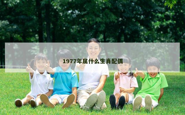 1977年属什么生肖配偶
