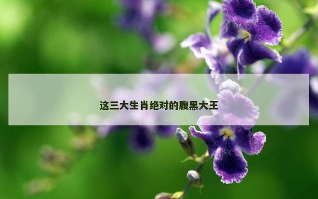 这三大生肖绝对的腹黑大王