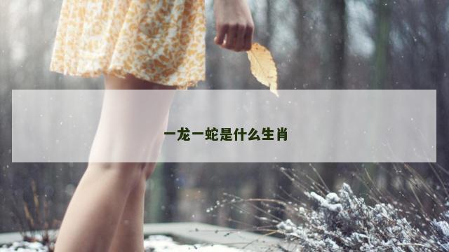 一龙一蛇是什么生肖