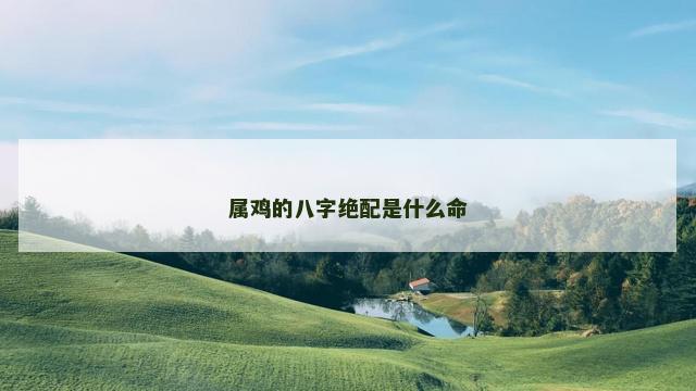 属鸡的八字绝配是什么命