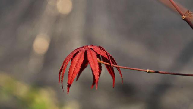 伤心和风水有关系吗