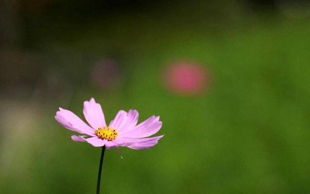 房间格局风水可信吗