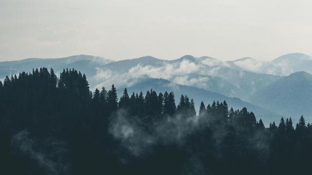 94年五行属什么的是什么命 命里缺什么