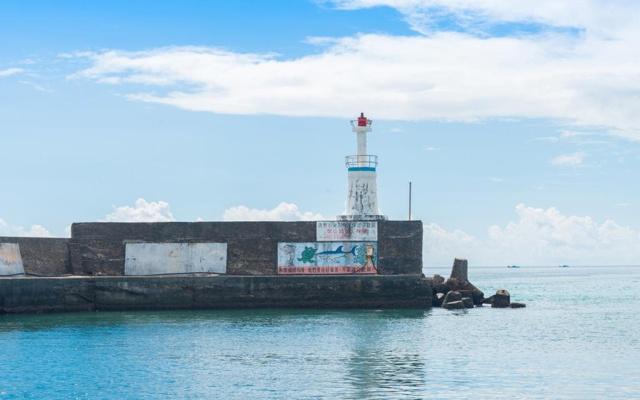满面春风打一动物生肖 生肖龙羊狗