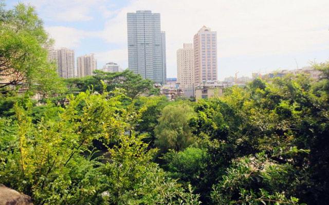 一生地位最高的生肖 谁的魅力大 谁最实际