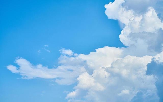 属狗女会用什么理由来接近男生 属狗女会用什么理由来接近男生