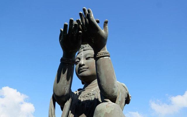 厨房可以摆放鹿角吗?风水吗