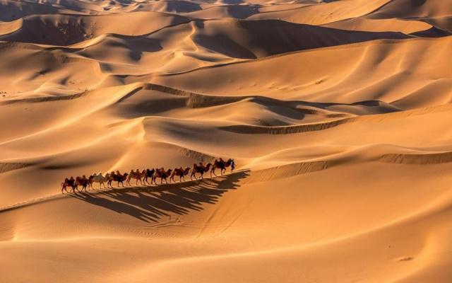 康熙字典臻取名旺风水吗