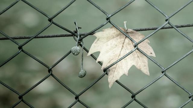 路边的风水是真的