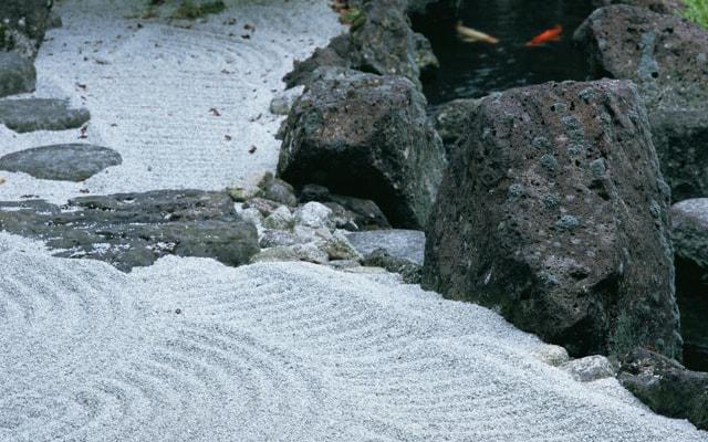 八字命理看玄机怎么看