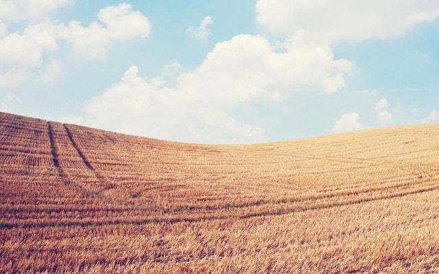 什么八字拥有七杀命格的特征