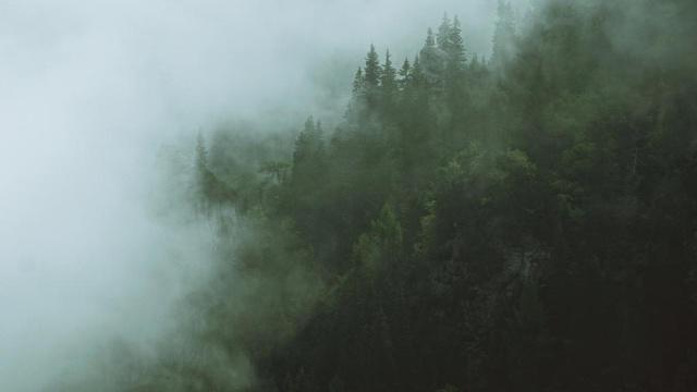 神婆可以看出风水吗