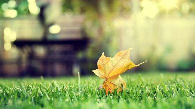 八字命盘八大格局 八字命盘八大格局